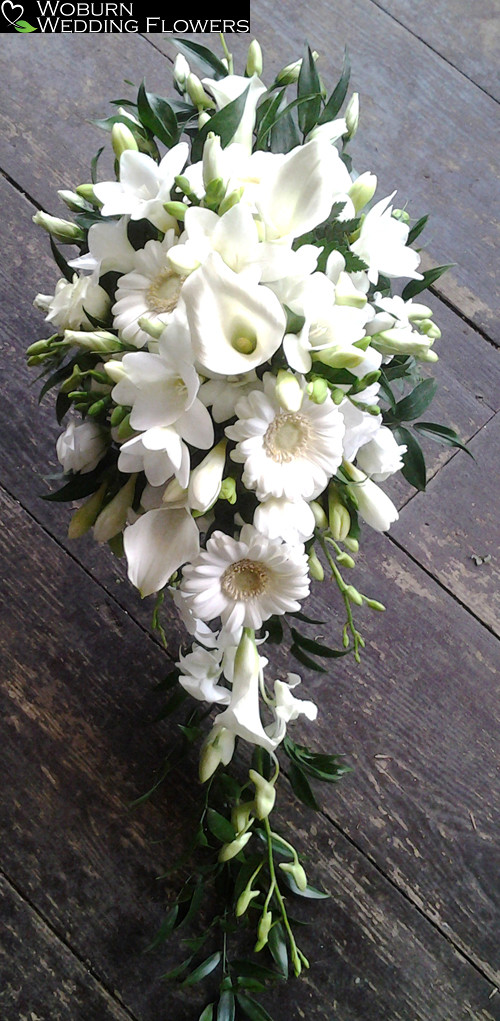 Calla Lilly, Freesia and Gerbera shower bouquet.