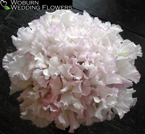 Fragrant sweet pea bouquet.