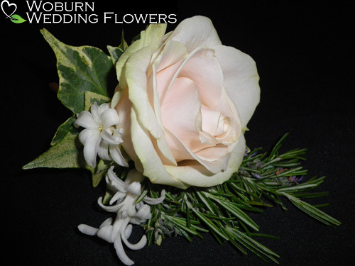 Rose and variegated Ivy leaves with Rosemary.