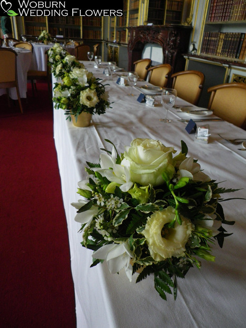 Small pot arrangements in the Library