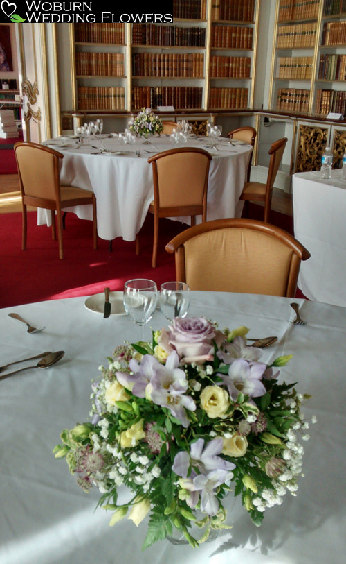 Small pot arrangements in Library